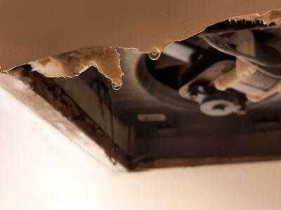 Professional water damage restoration services in Chunchula, AL - Water Damage Experts
